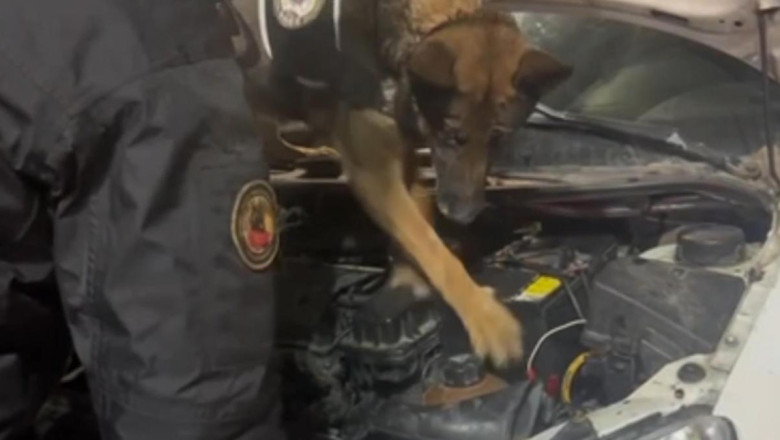 Erzurum'da aküye gizlenmiş 3 kilo uyuşturucuyu 'Su' buldu