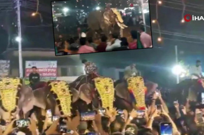 Festival alanı facia alanına döndü! Fil insanlara saldırdı, havaya kaldırıp yere fırlattı