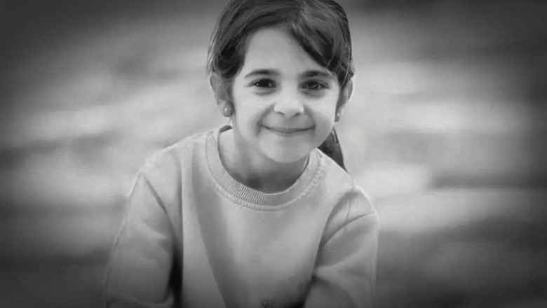 Narin davasının dosyalarında ne var?