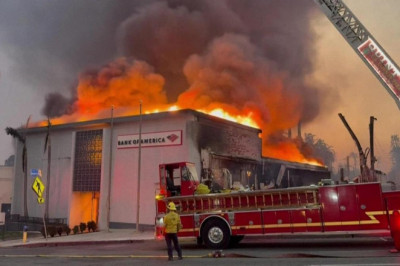 KALİFORNİYA NEDEN YANIYOR? ''Büyüyen bitkiler kuru havayla yanmaya hazır halde''