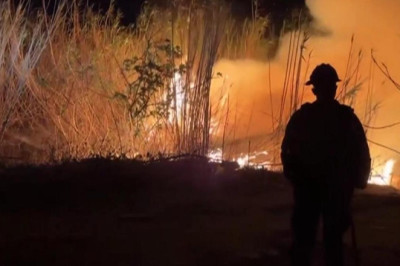 Hollywood yangından ne kadar etkilendi?