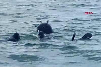 KARADENİZ'DE MAYIN KALKANI | Komuta Bulgaristan’a geçti