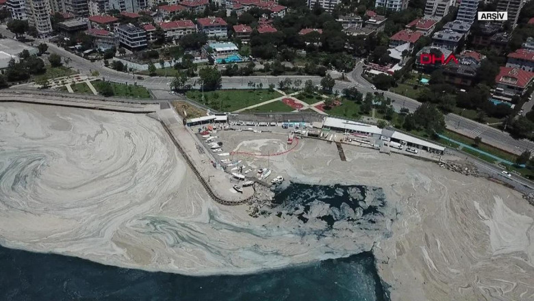 Uzmanlar uyarıyor: Marmara, 'deniz salyası' tehdidi altında!