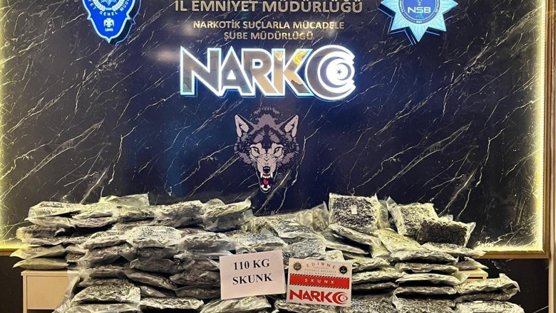 Kapıkule Sınır Kapısından yurda giriş yapan iki TIR'da 30 milyon lira değerinde uyuşturucu ele geçirildi