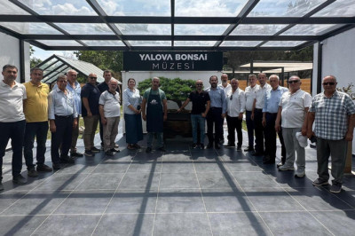 Bonsai Müzesine Ziyaretçi Akını