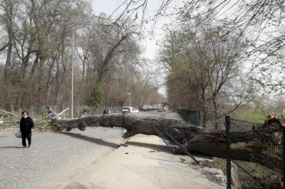 Kuzey Ege için ‘fırtına’ uyarısı