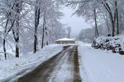 Samsun okul tatil haberi: Yarın Samsun'da okullara kar tatili! 19 Şubat 2025 Samsun okul tatili için Valilik açıklama yaptı mı?