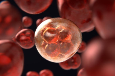 Kent Konseyi ve Uzmanlar Hastanesi’nden Örnek İşbirliği!