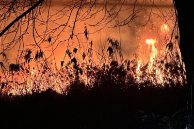 Bursa’da İznik Gölü kıyısında sazlık yangını