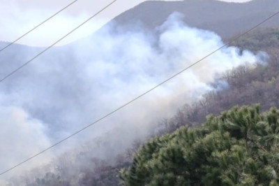 Yalova'daki Orman Yangını Kontrol Altına Alındı