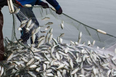 Denizlerde Av Yasağı Başladı