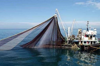 Yalovalı Balıkçılar Dikkat: Avlanma Kurallarında Değişiklikler Geldi!