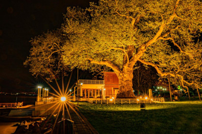 Tarihin Ve Doğanın Sessiz Tanıkları Yalova’da Konuşulacak
