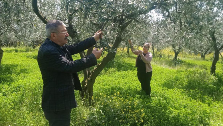 Zirai Don Sonrası Sahada Müdahale