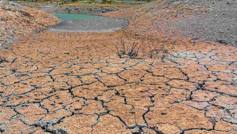 TEMA Vakfı: Toprağı İyileştirmek Geleceğimizi Korumaktır