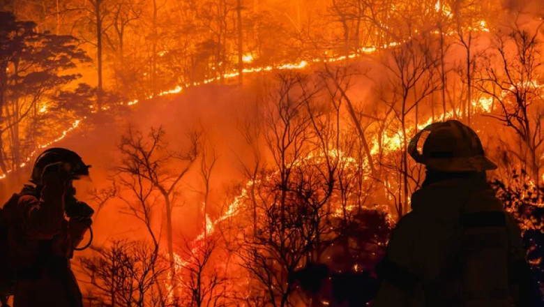Yalova’da Ormanlara Giriş Yasaklanıyor mu? İşte Alınan 24 Kritik Karar