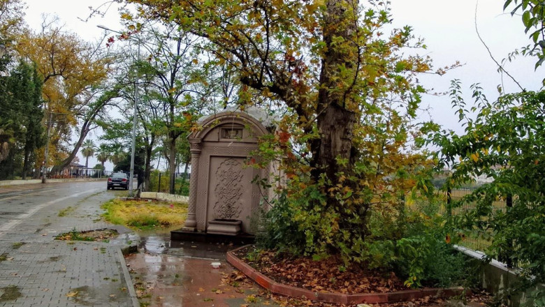 Faruk Tezcan; Atamın Çınarlı Yolu Sonsuza Dek Yaşatılmalı