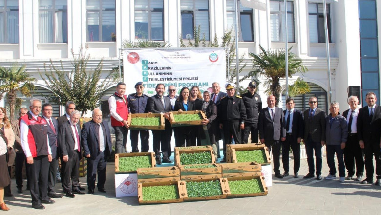 Çiftçilere 428 Bin Adet Kıvırcık ve Pazı Fidesi Dağıtıldı