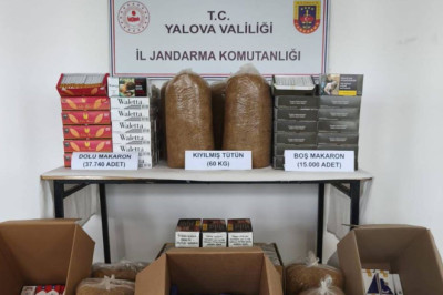 Yalova’da Kaçak Tütün Operasyonu: 1 Kişi Tutuklandı