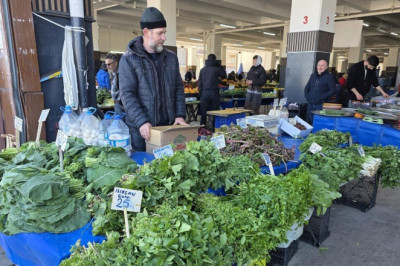 Yalova’da Örtüaltı Sebze Üretim Alanlarında Saha Çalışmaları Aralıksız Sürüyor