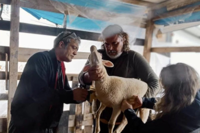 HAYVAN SAĞLIĞI İÇİN SAHADA YOĞUN ÇALIŞMA