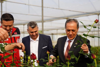 KESME GÜL ÜRETİCİLERİNE ZİYARET