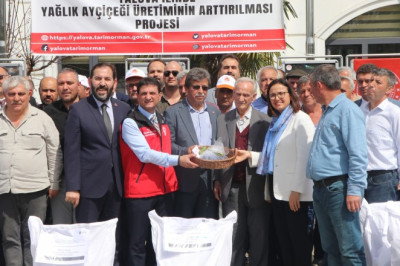 ÇİFTÇİLERE AYÇİÇEĞİ TOHUMU DAĞITILDI