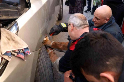 Otomobilin motor kısmına sıkışan kediyi itfaiye kurtardı
