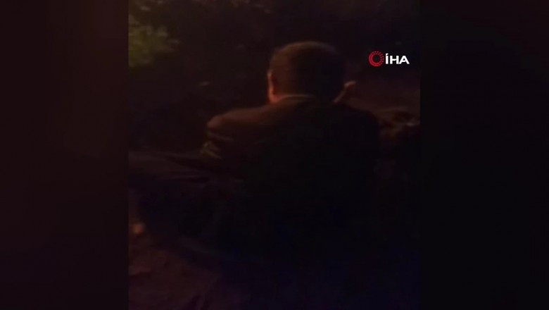 Yalova'da orman yangını