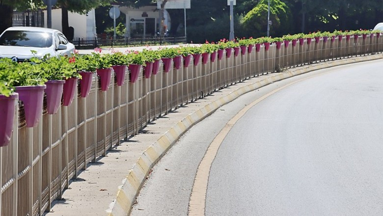 YALOVA’NIN DÖRT BİR YANI ÇİÇEK AÇTI