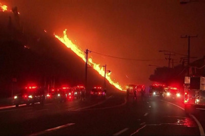 ABD'deki orman yangını 1. haftasında