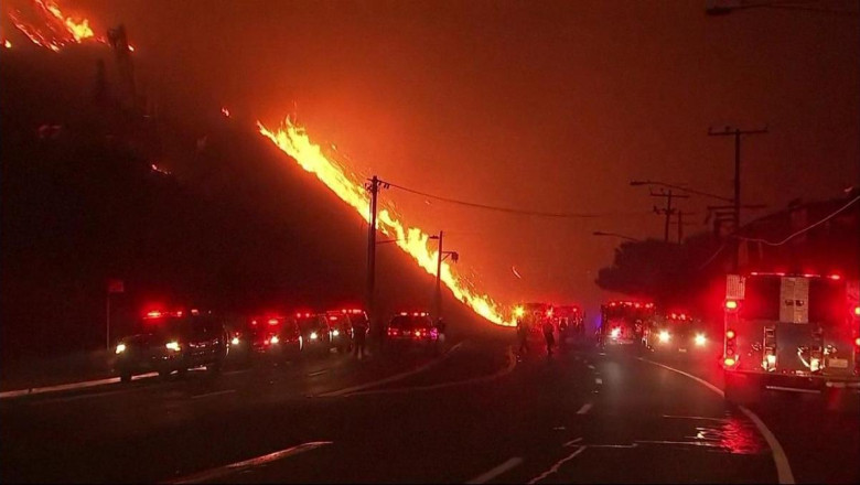 ABD'de sigorta şirketleri ne yapacak?