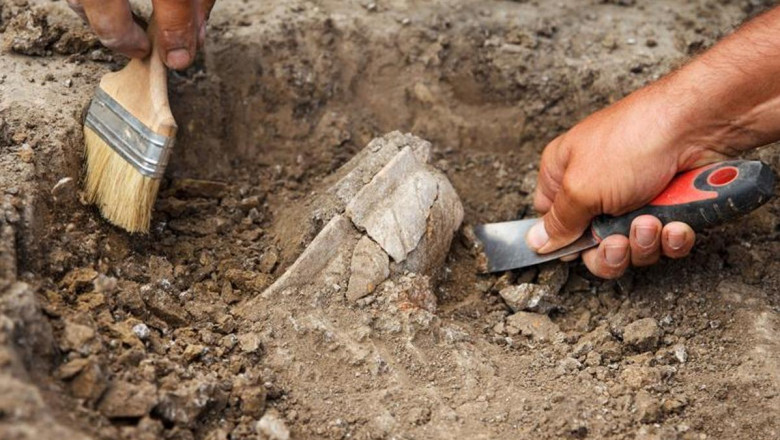 DNA bulguları, Demir Çağı’ndaki toplumsal yapıyı ortaya çıkardı: Erkekler iç güveyi olarak yaşıyordu