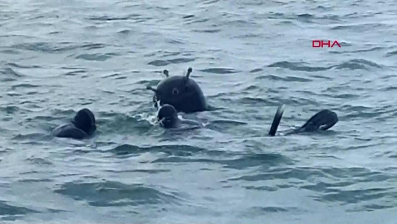 KARADENİZ'DE MAYIN KALKANI | Komuta Bulgaristan’a geçti