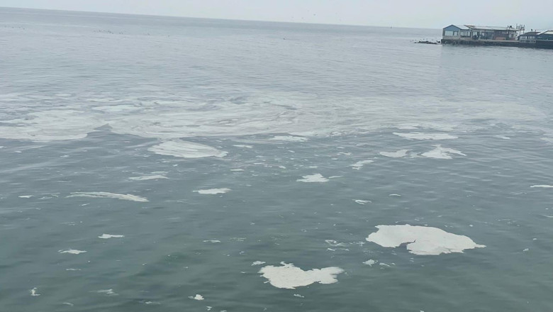 12,5 Milyon Kişinin Atığı Arıtılmadan Marmara Denizi'ne Akıyor