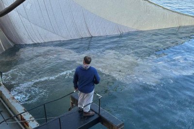 Marmara Denizi'nde Ağlara Balık Yerine Müsilaj Takıldı