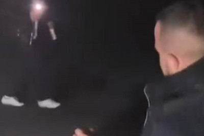 Sakarya'da domuza işkence eden alkollü şahıslar yakalandı