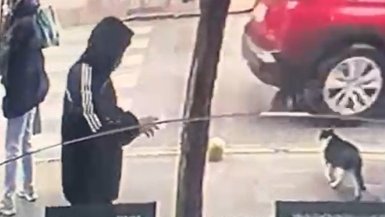 Yalova'da yere düşürülen dövizi alan şüpheli yakalandı
