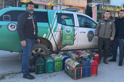Mersin'de horoz dövüşü baskını: 128 kişiye 1 milyon 194 bin lira ceza