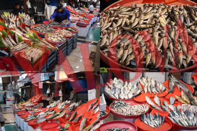 Balık Sezonu Nasıl Geçiyor?