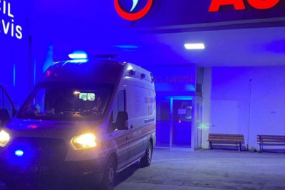 Bir başıboş köpek saldırısı daha! 9 yaşındaki çocuk dehşeti yaşadı