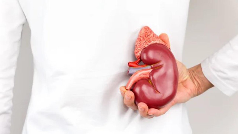 Böbreklerine İyi Bak!