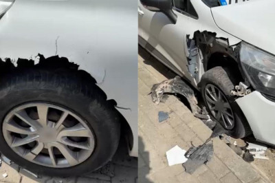 Yalova'da Sokak Köpekleri Park Halindeki Otomobilleri Paramparça Etti