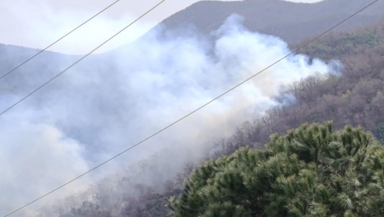 Yalova'daki Orman Yangını Kontrol Altına Alındı