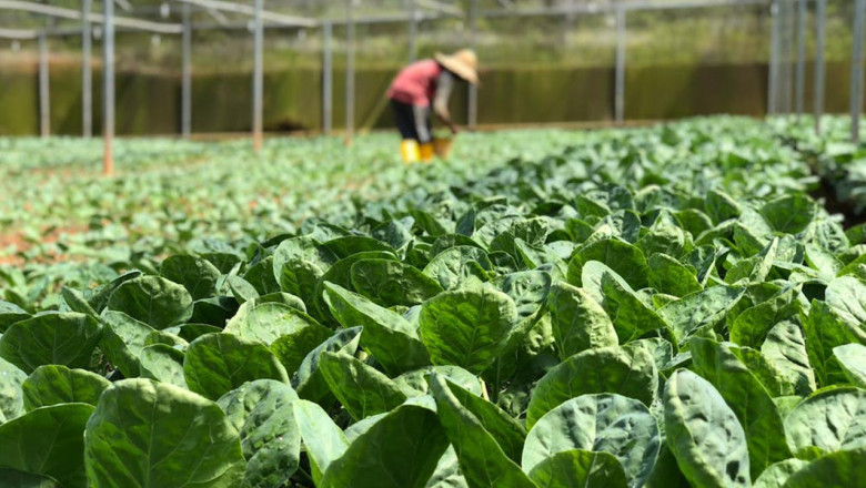 Yalova’da Çiftçiler Mart Ayında Sahada