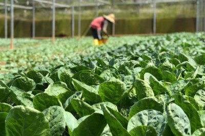 Yalova’da Çiftçiler Mart Ayında Sahada