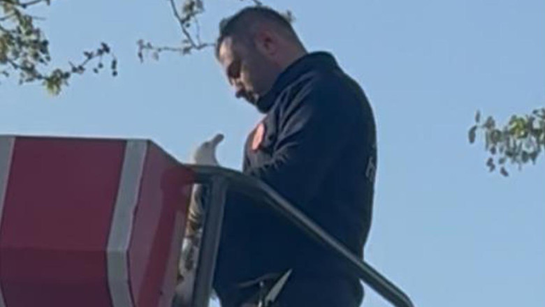 Yalova’da Tele Takılan Martıyı Hem Vatandaşlar Hem De Dostları Yalnız Bırakmadı