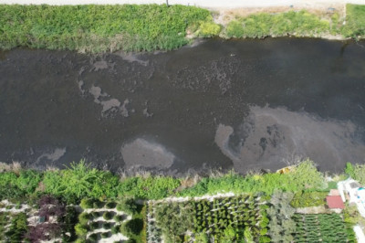 Yalova'da Dereağzı Mevkisinde Kanalizasyon Suyu Denize Aktı