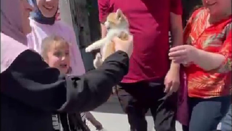 Motora Sıkışan Kediyi Vatandaşlar Kurtardı