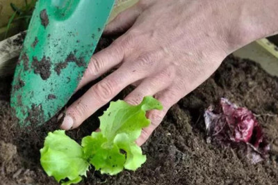 Başvurular Yarın Bitiyor!